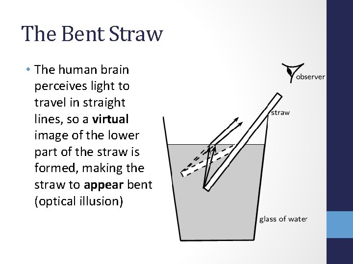 The Bent Straw • The human brain perceives light to travel in straight lines,