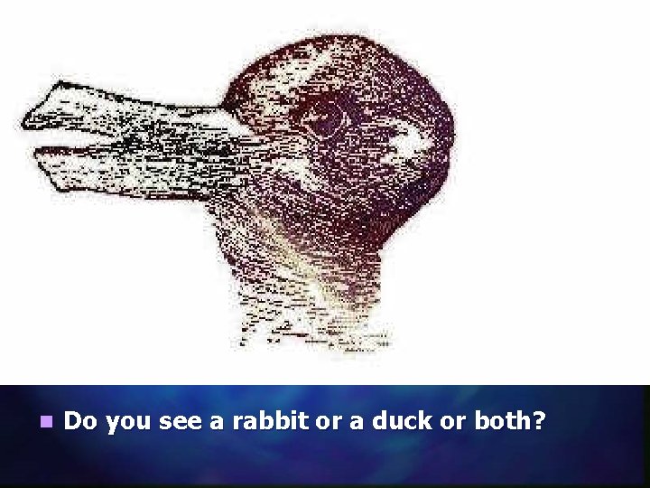 n Do you see a rabbit or a duck or both? 