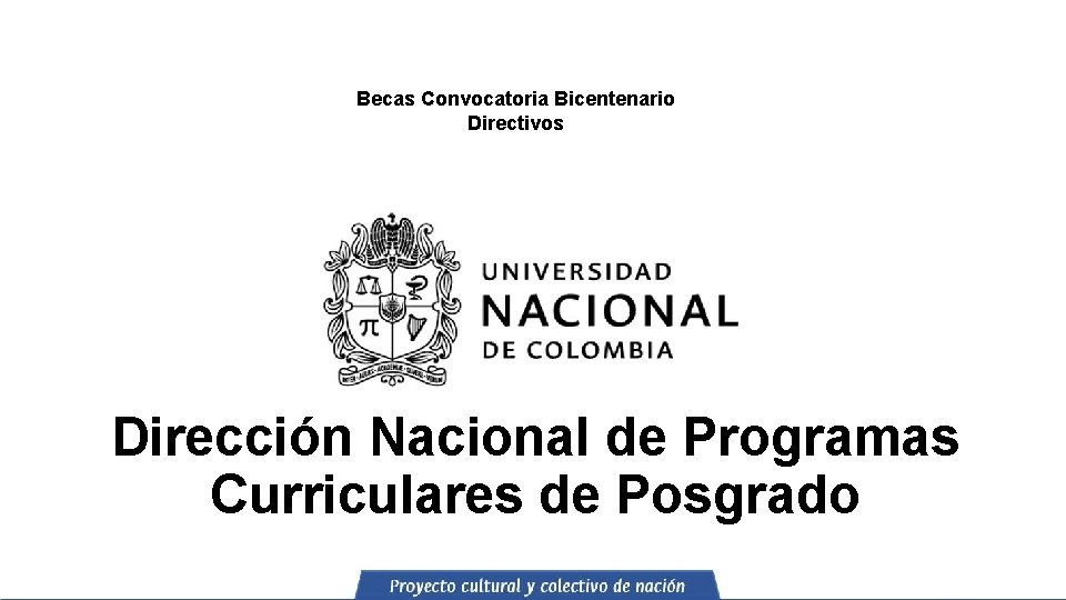 Becas Convocatoria Bicentenario Directivos Dirección Nacional de Programas Curriculares de Posgrado 