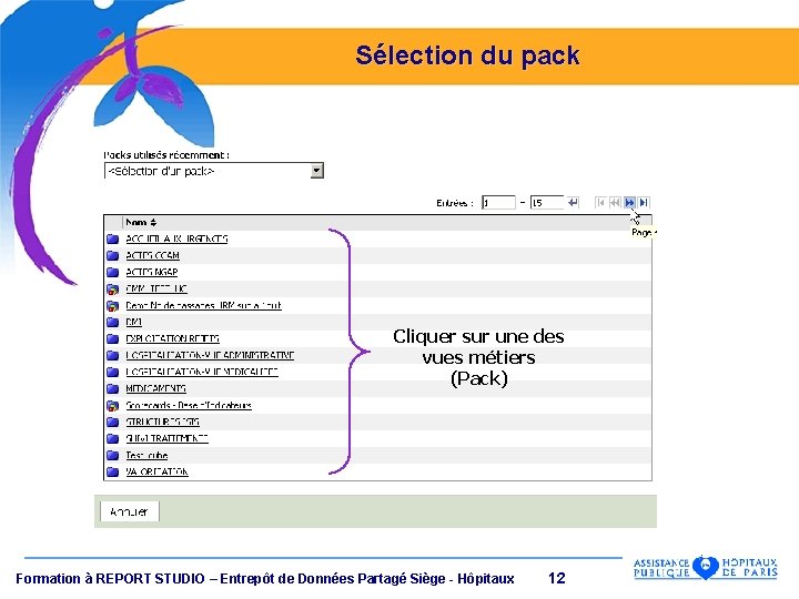 Sélection du pack Cliquer sur une des vues métiers (Pack) Formation à REPORT STUDIO