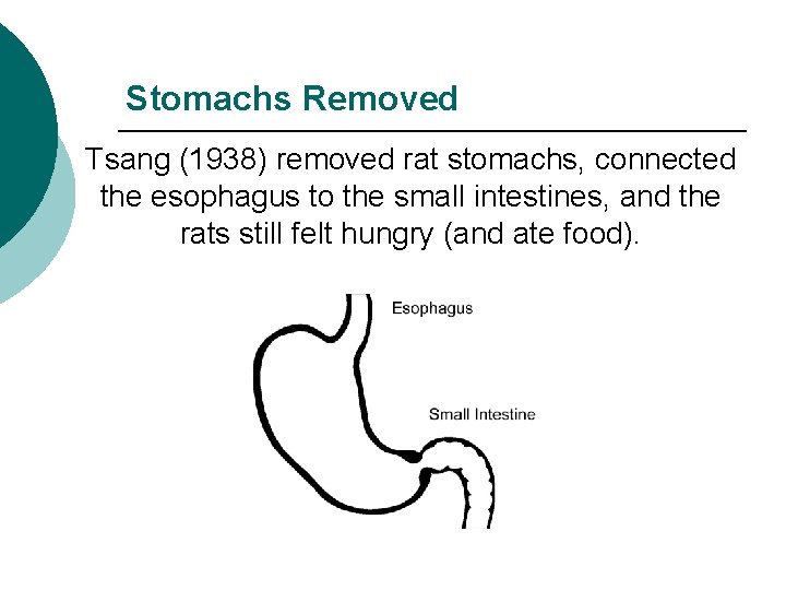 Stomachs Removed Tsang (1938) removed rat stomachs, connected the esophagus to the small intestines,