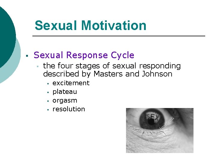 Sexual Motivation § Sexual Response Cycle § the four stages of sexual responding described