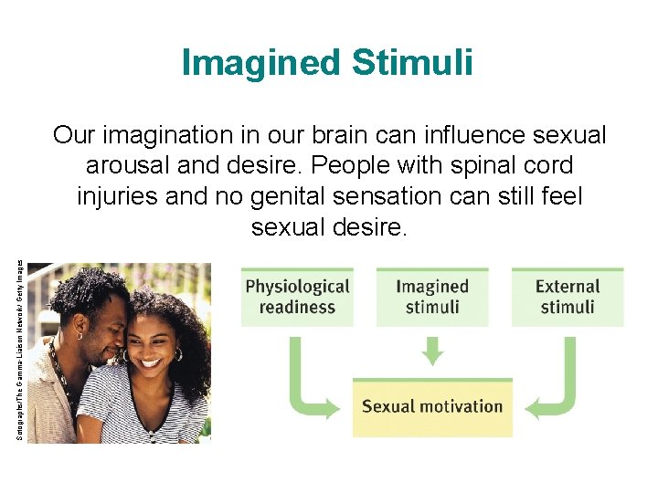 Imagined Stimuli Sotographs/The Gamma-Liaison Network/ Getty Images Our imagination in our brain can influence