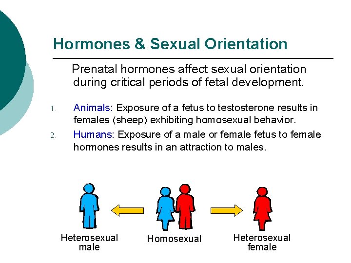 Hormones & Sexual Orientation Prenatal hormones affect sexual orientation during critical periods of fetal