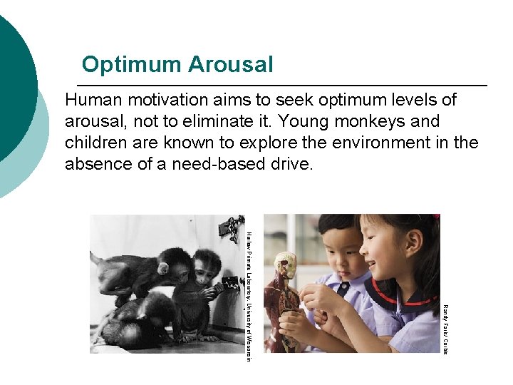 Optimum Arousal Human motivation aims to seek optimum levels of arousal, not to eliminate