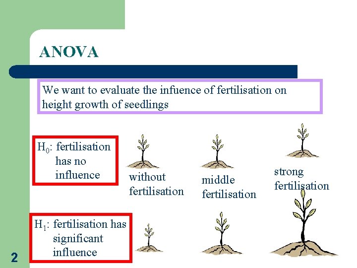 ANOVA We want to evaluate the infuence of fertilisation on height growth of seedlings