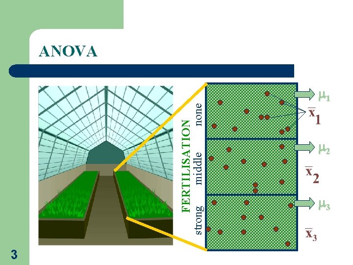 FERTILISATION strong middle none ANOVA 3 1 2 3 