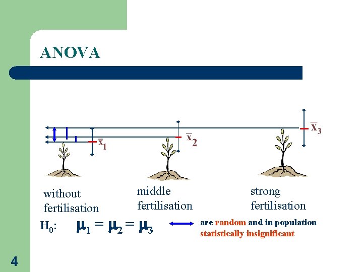 ANOVA without fertilisation H 0: 1 = 4 middle fertilisation 2 = 3 strong