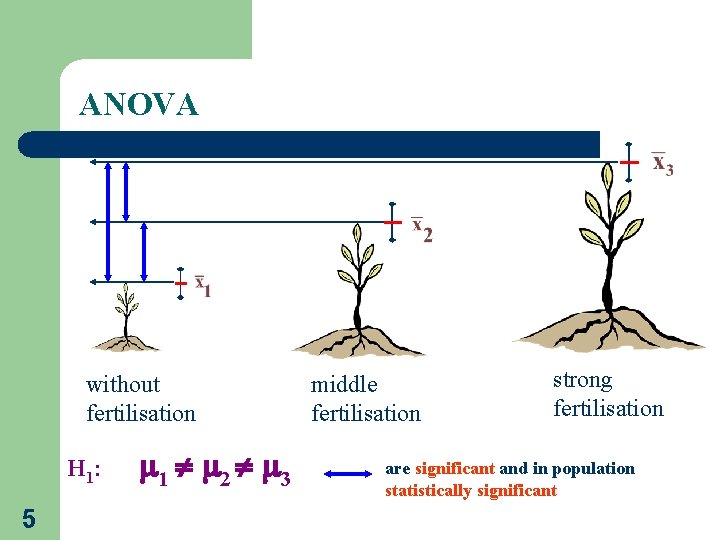ANOVA without fertilisation H 1: 5 1 2 3 middle fertilisation strong fertilisation are