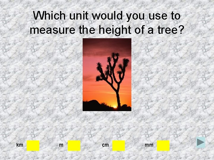 Which unit would you use to measure the height of a tree? km m