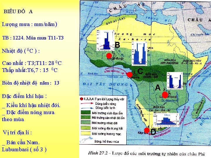 BIỂU ĐỒ A Lượng mưa : mm/năm) TB : 1224. Mùa mưa T 11