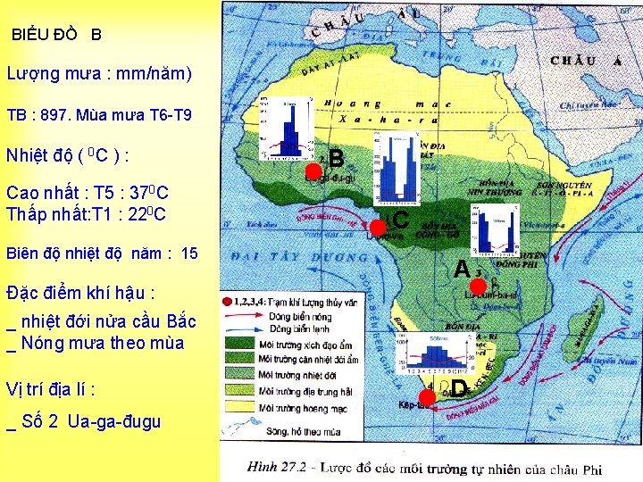 BIỂU ĐỒ B Lượng mưa : mm/năm) TB : 897. Mùa mưa T 6