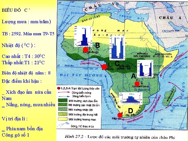 BIỂU ĐỒ C ` Lượng mưa : mm/năm) TB : 2592. Mùa mưa T