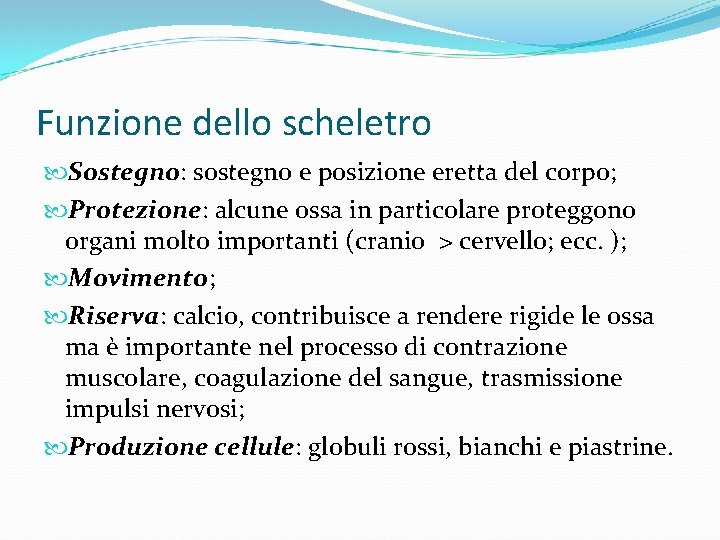 Funzione dello scheletro Sostegno: sostegno e posizione eretta del corpo; Protezione: alcune ossa in