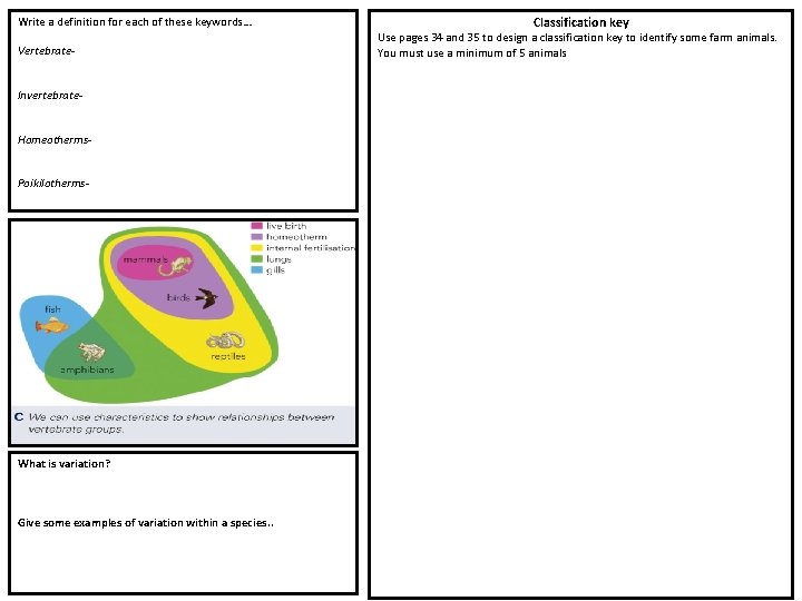 Write a definition for each of these keywords… Vertebrate. Invertebrate. Homeotherms. Poikilotherms- What is