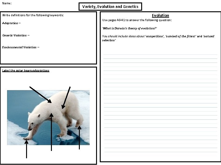 Name: Write definitions for the following keywords: Adaptation – Variety, Evolution and Genetics Evolution