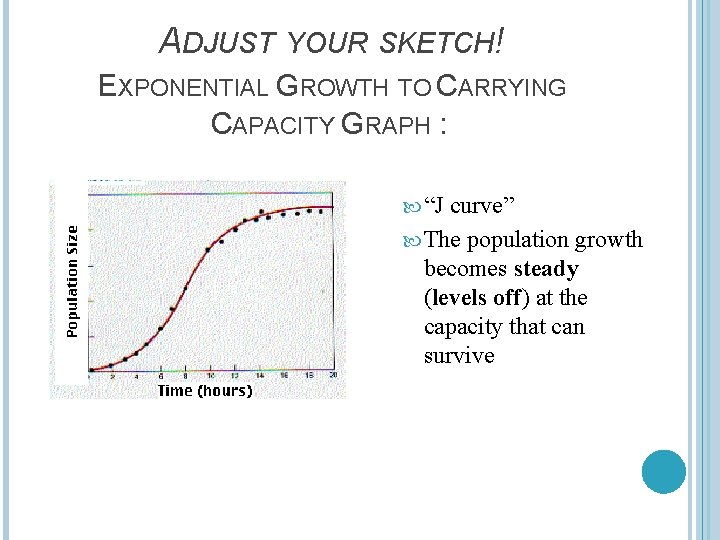 ADJUST YOUR SKETCH! EXPONENTIAL GROWTH TO CARRYING CAPACITY GRAPH : “J curve” The population