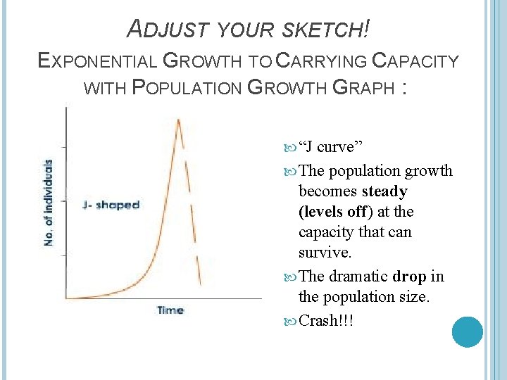 ADJUST YOUR SKETCH! EXPONENTIAL GROWTH TO CARRYING CAPACITY WITH POPULATION GROWTH GRAPH : “J