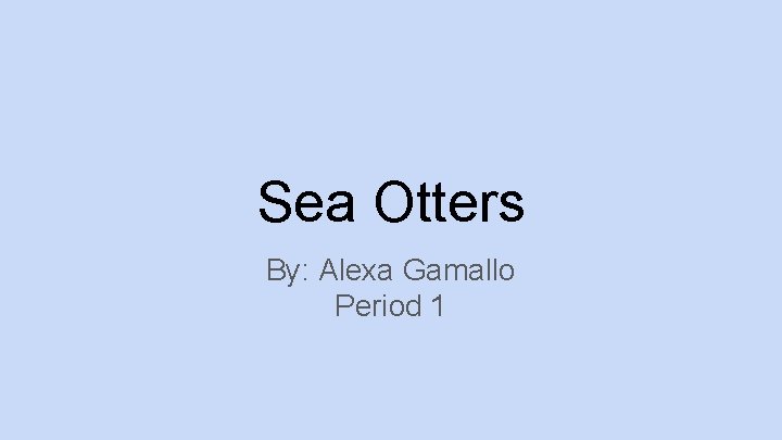 Sea Otters By: Alexa Gamallo Period 1 