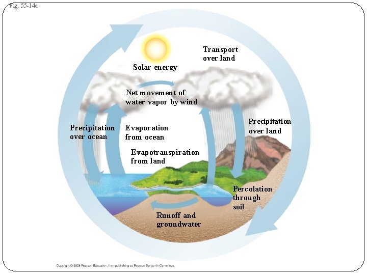 Fig. 55 -14 a Solar energy Transport over land Net movement of water vapor