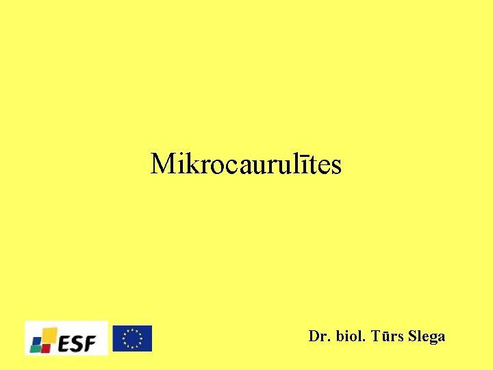 Mikrocaurulītes Dr. biol. Tūrs Slega 