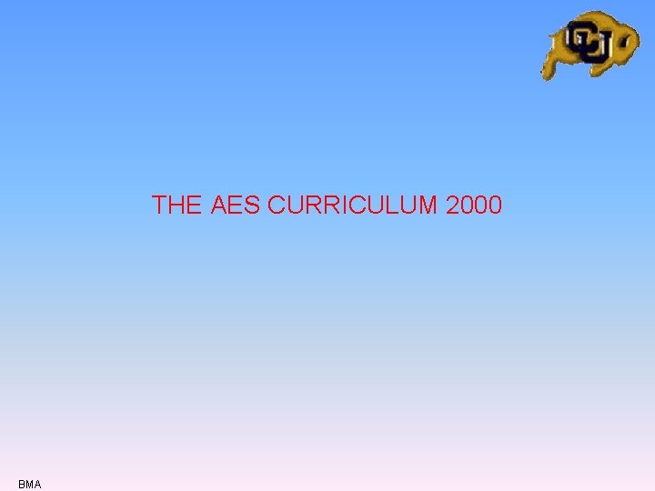 THE AES CURRICULUM 2000 BMA THE AES CURRICULUM 2000 BMA