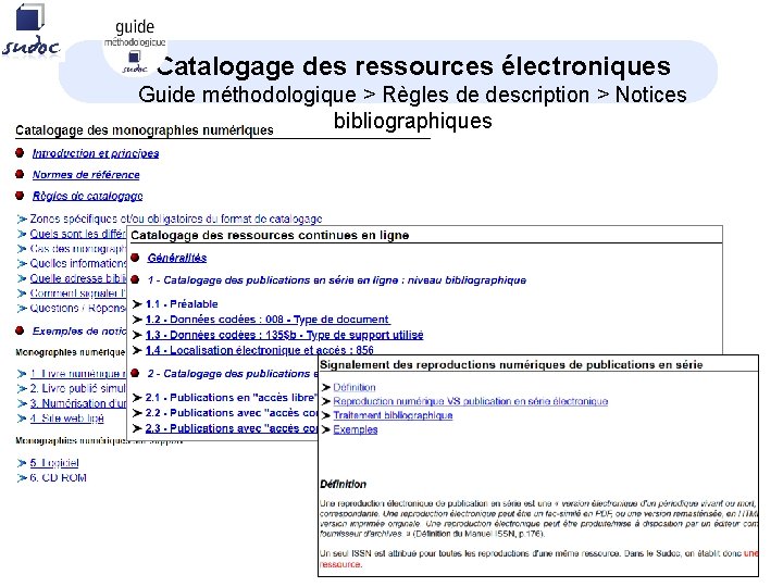 Catalogage des ressources électroniques Guide méthodologique > Règles de description > Notices bibliographiques 