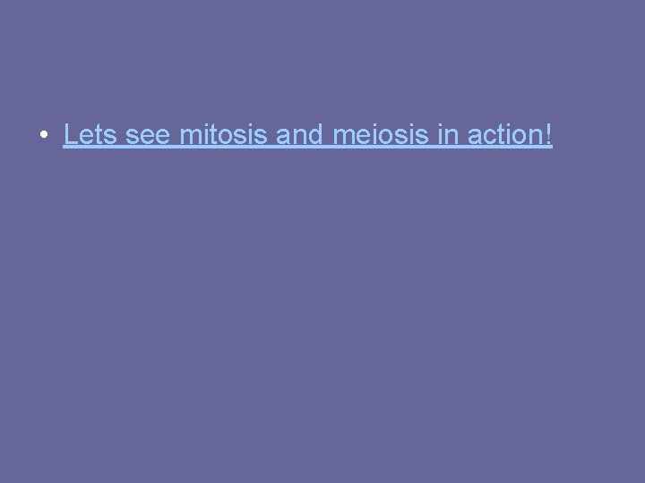  • Lets see mitosis and meiosis in action! 