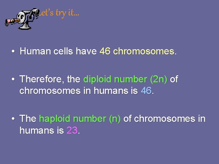 Let’s try it… • Human cells have 46 chromosomes. • Therefore, the diploid number