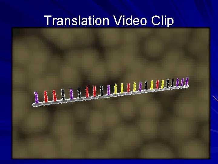 Translation Video Clip 