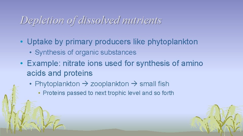 Depletion of dissolved nutrients • Uptake by primary producers like phytoplankton • Synthesis of