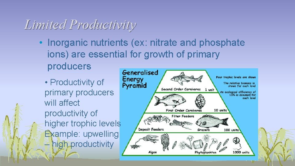 Limited Productivity • Inorganic nutrients (ex: nitrate and phosphate ions) are essential for growth