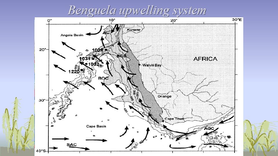 Benguela upwelling system 