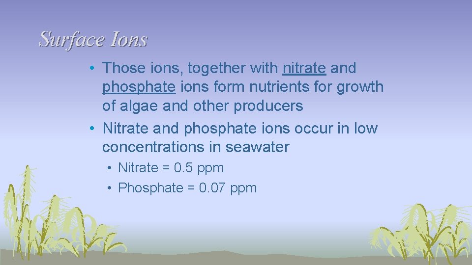 Surface Ions • Those ions, together with nitrate and phosphate ions form nutrients for