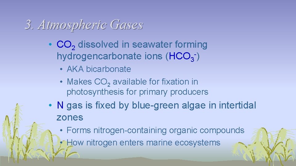 3. Atmospheric Gases • CO 2 dissolved in seawater forming hydrogencarbonate ions (HCO 3