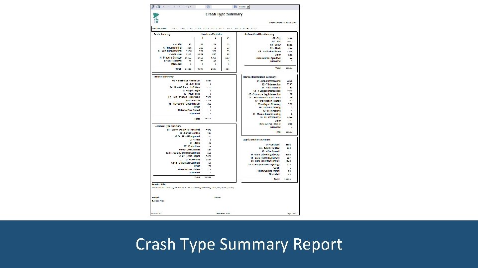 Crash Type Summary Report 