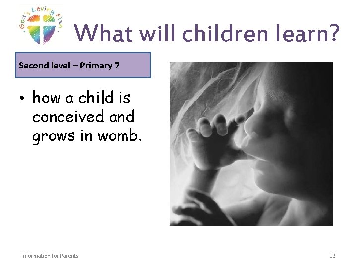 What will children learn? Second level – Primary 7 • how a child is What will children learn? Second level – Primary 7 • how a child is