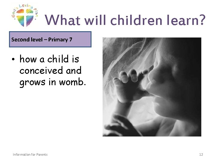 What will children learn? Second level – Primary 7 • how a child is