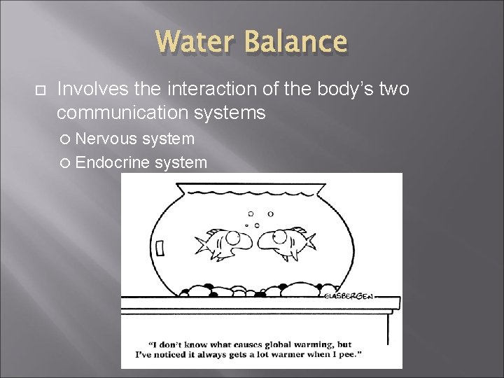 Water Balance Involves the interaction of the body’s two communication systems Nervous system Endocrine