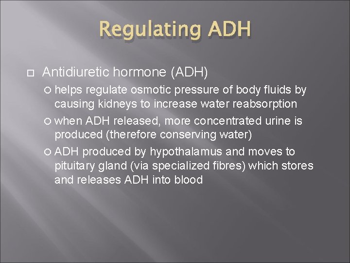 Regulating ADH Antidiuretic hormone (ADH) helps regulate osmotic pressure of body fluids by causing