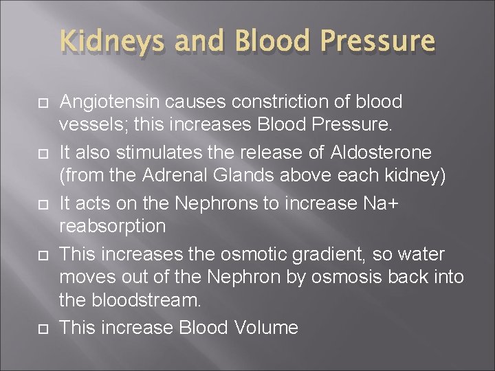 Kidneys and Blood Pressure Angiotensin causes constriction of blood vessels; this increases Blood Pressure.