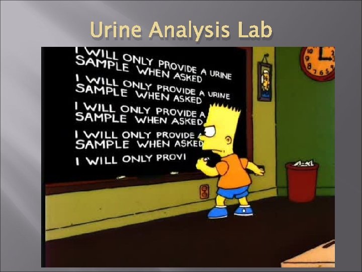 Urine Analysis Lab 