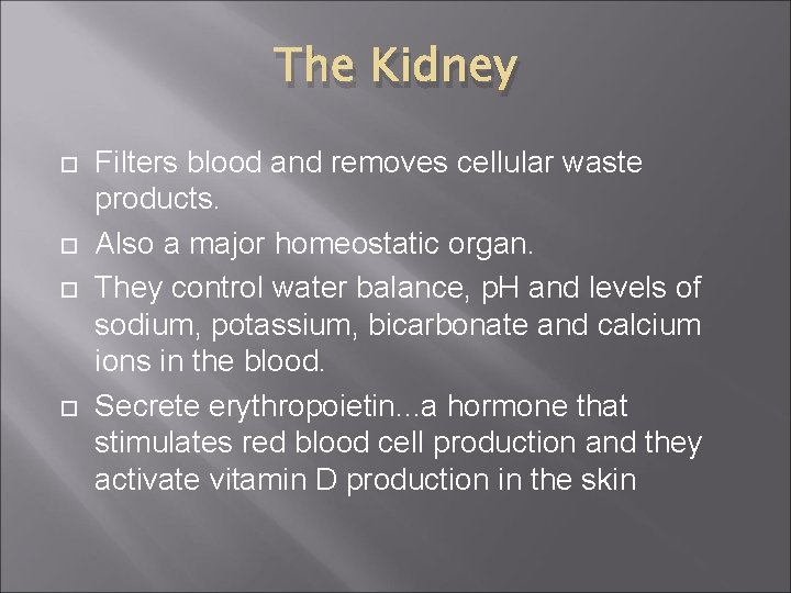 The Kidney Filters blood and removes cellular waste products. Also a major homeostatic organ.