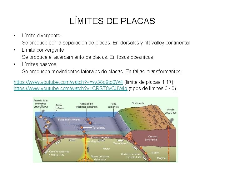 LÍMITES DE PLACAS • • • Límite divergente. Se produce por la separación de