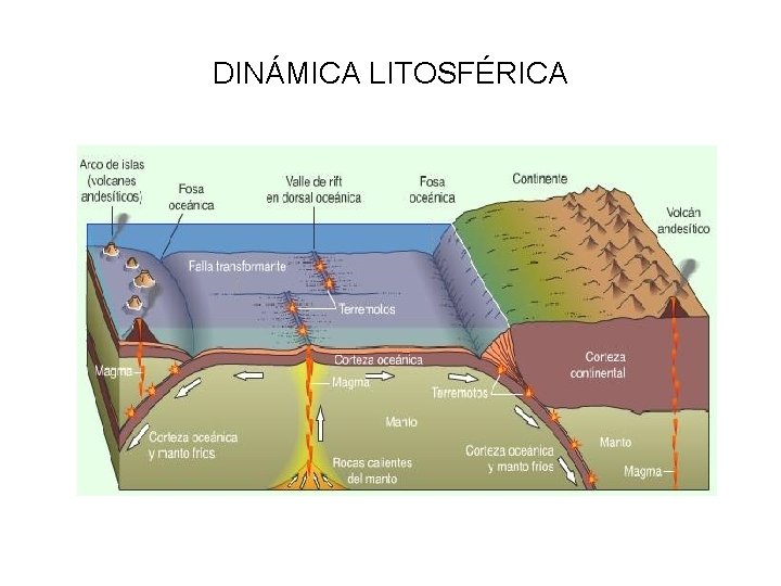 DINÁMICA LITOSFÉRICA 