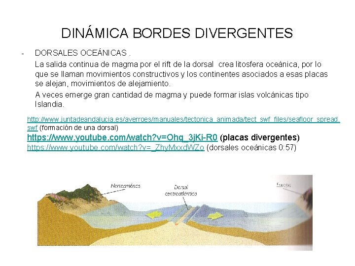 DINÁMICA BORDES DIVERGENTES - DORSALES OCEÁNICAS. La salida continua de magma por el rift