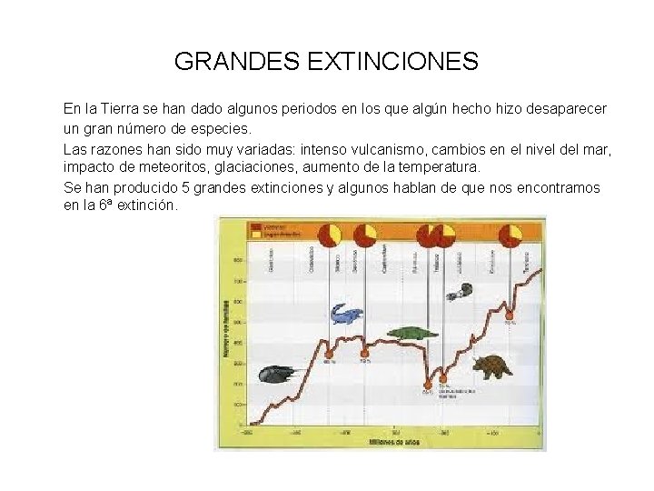 GRANDES EXTINCIONES En la Tierra se han dado algunos periodos en los que algún