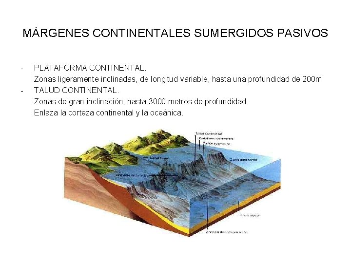 MÁRGENES CONTINENTALES SUMERGIDOS PASIVOS - PLATAFORMA CONTINENTAL. Zonas ligeramente inclinadas, de longitud variable, hasta