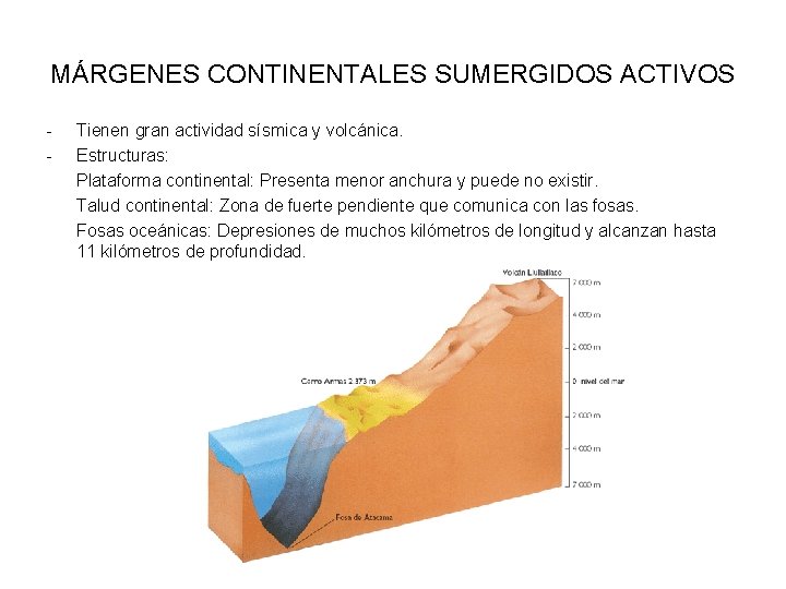 MÁRGENES CONTINENTALES SUMERGIDOS ACTIVOS - Tienen gran actividad sísmica y volcánica. Estructuras: Plataforma continental: