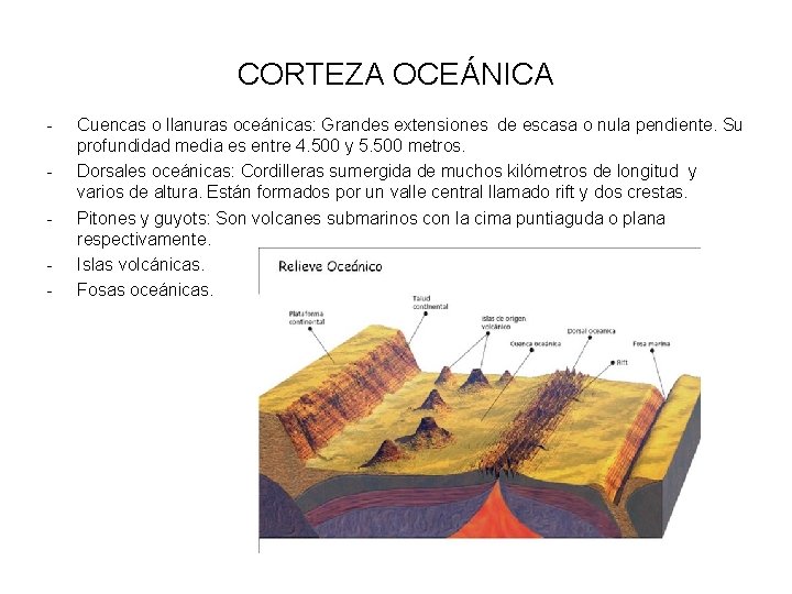 CORTEZA OCEÁNICA - Cuencas o llanuras oceánicas: Grandes extensiones de escasa o nula pendiente.